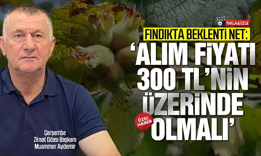 Üreticinin gözü TMO'da: Fındıkta fiyat beklentisi yüksek