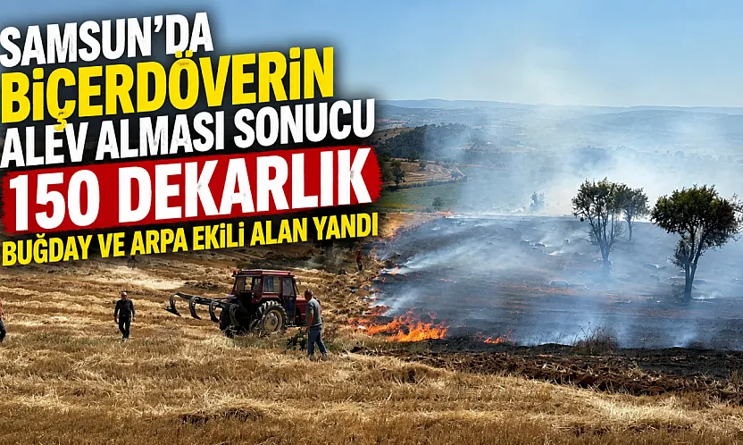 Vezirköprü'de Biçerdöver Yangını: 150 Dekarlık Ekili Alan Kül Oldu