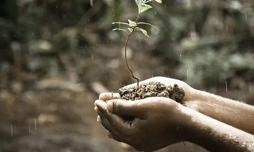 Yağmurdan sonra toprak neden güzel kokar?