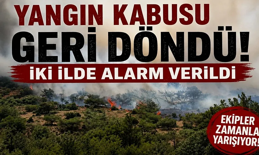 Yangın kabusu geri döndü: İzmir ve Bursa'da alevler ormanlık alana ulaştı