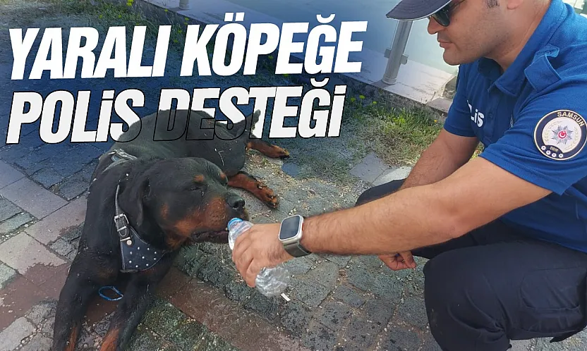 Yaralı köpeğe polis desteği
