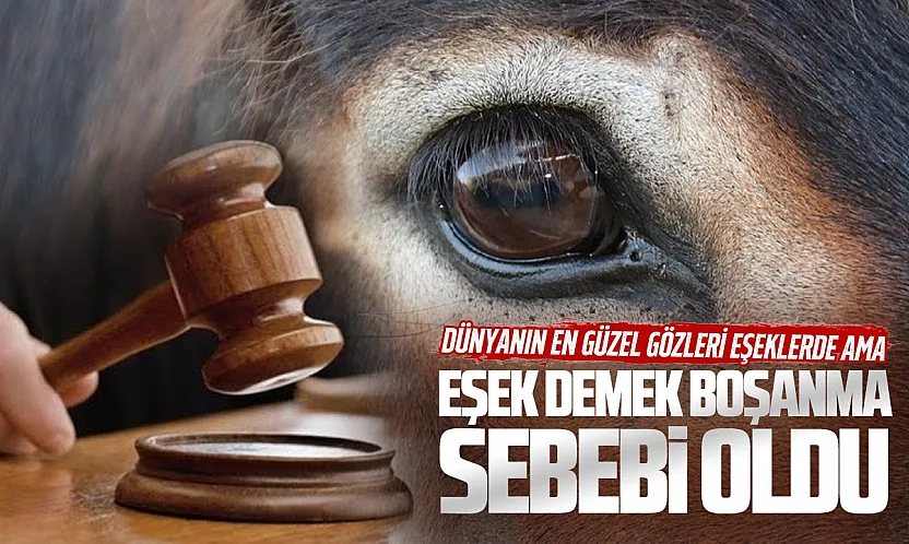 Yargıtaydan emsal karar: Eşine eşeksin, hayvansın diyen koca ağır kusurlu