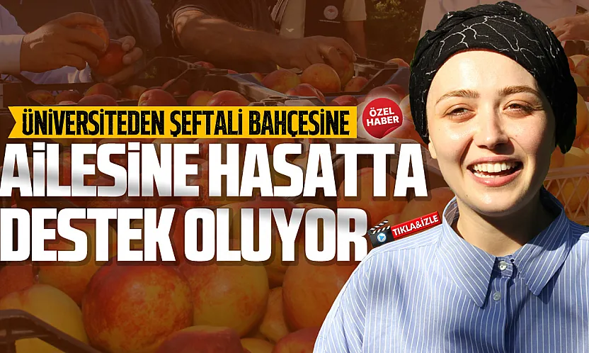 Yüksek lisans yapan Zeynep Sude Sezer hasat zamanı tarlada çalışıyor