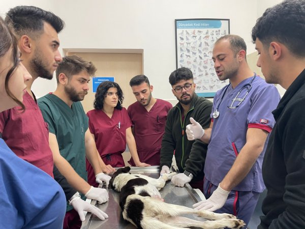aa-20231022-32483100-32483096-omu-hayvan-hastanesi-karadeniz-bolgesine-hizmet-veriyor.jpg