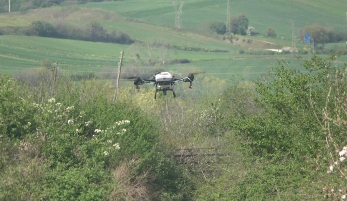 bafra-ovasinda-dron-destekli-sivrisinek-mucadelesi-2.jpg