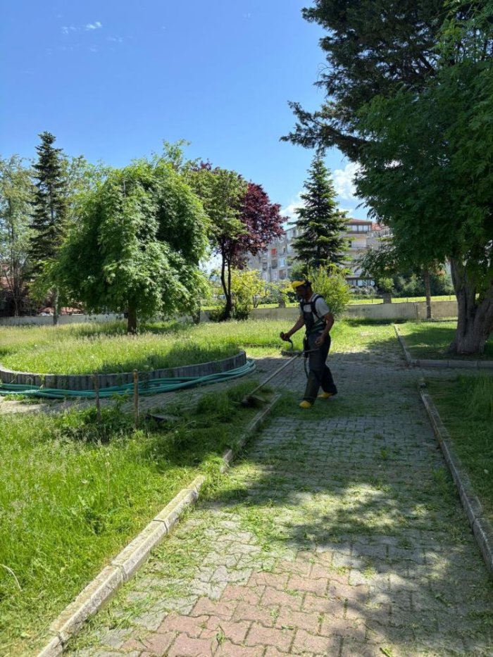 aw461920-02.jpg